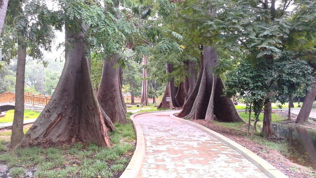 Patricia Guest House ปอนดิเชอรี ภายนอก รูปภาพ