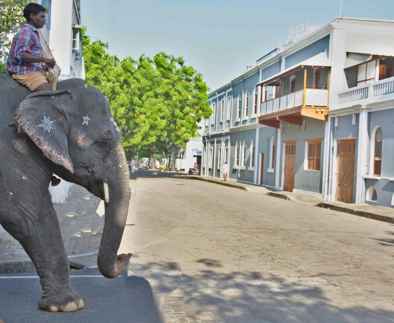 Patricia Guest House ปอนดิเชอรี ภายนอก รูปภาพ