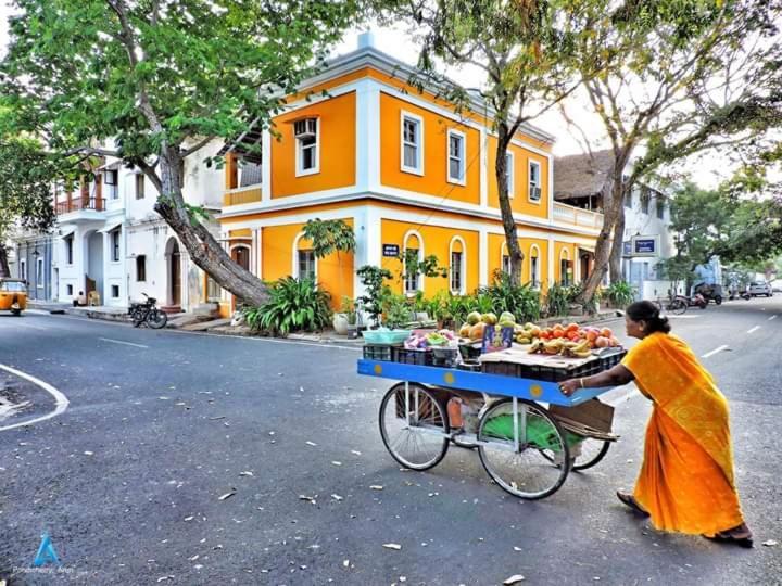 Patricia Guest House ปอนดิเชอรี ภายนอก รูปภาพ